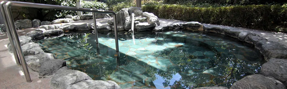 健康ふれあいセンター いなほの湯