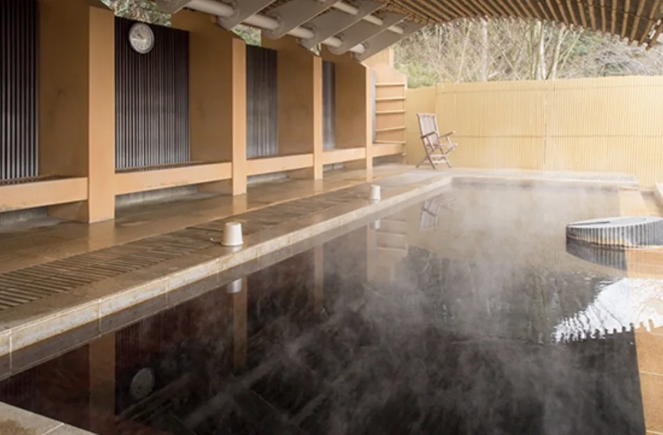 成田の命泉 大和の湯