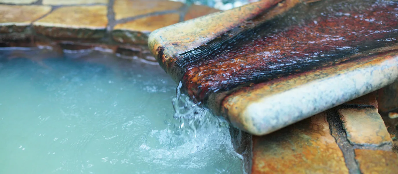 前野原温泉 さやの湯処