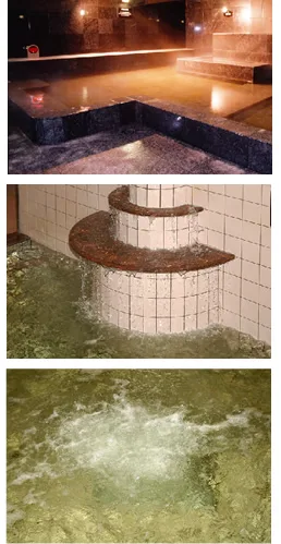 天然温泉 白鳥の湯