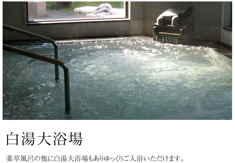 丹波市立薬草薬樹公園 丹波の湯