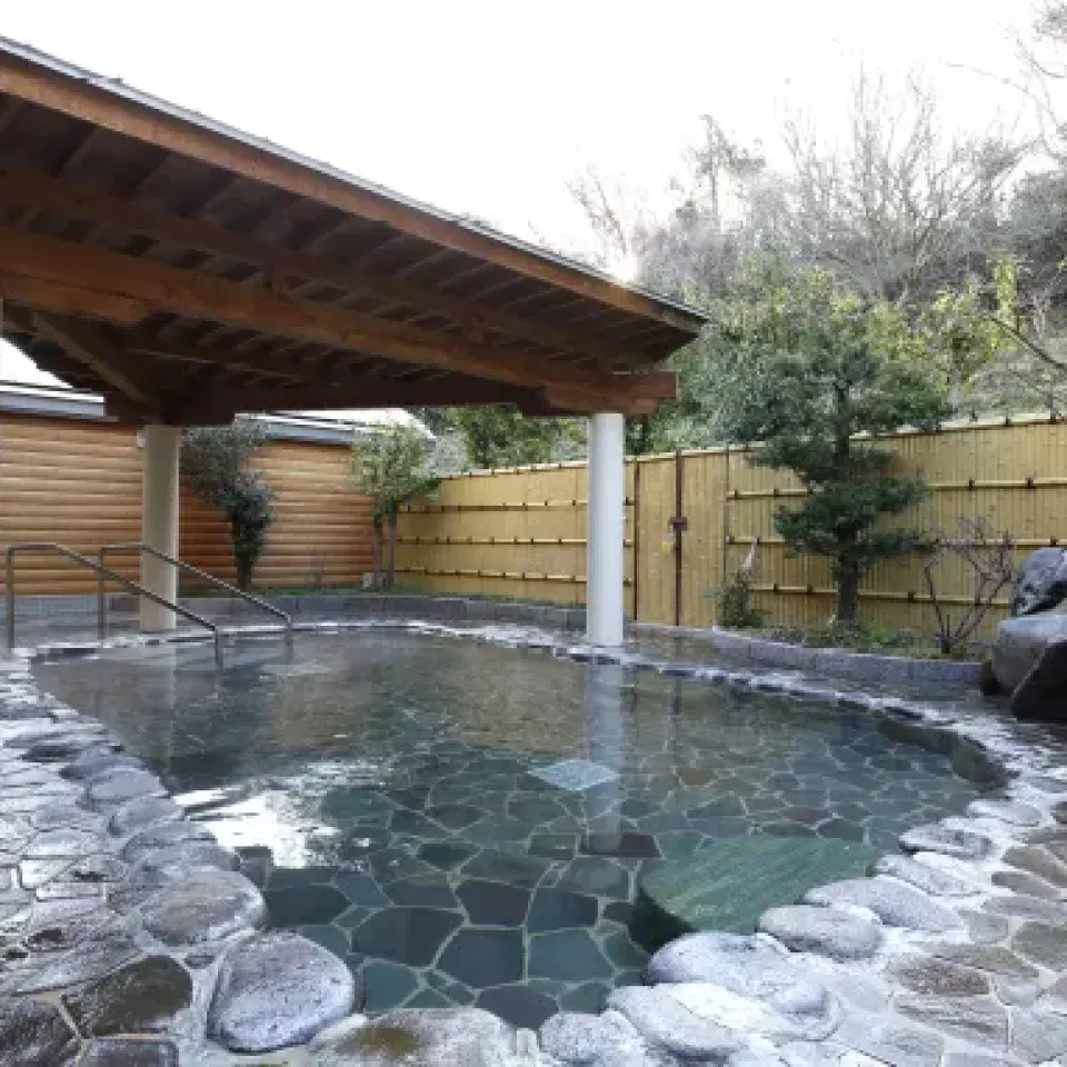 天然温泉 日王の湯
